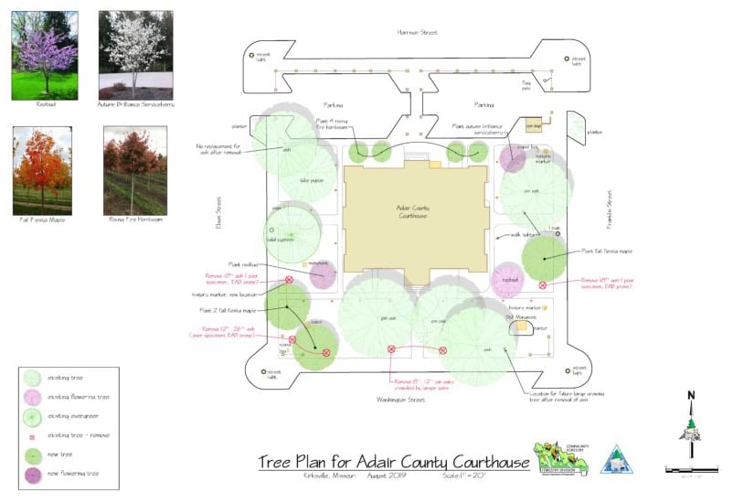 Tree Plan for Adair County Courthouse